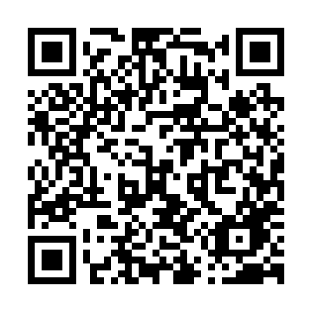 QR code for P55-28G