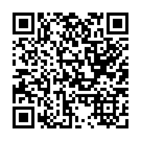 QR code for plate P56-38K