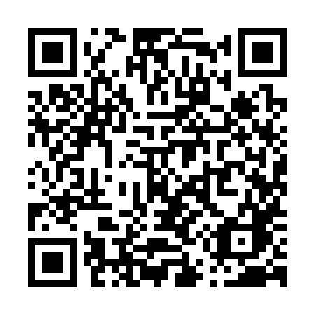 QR code for P5938C