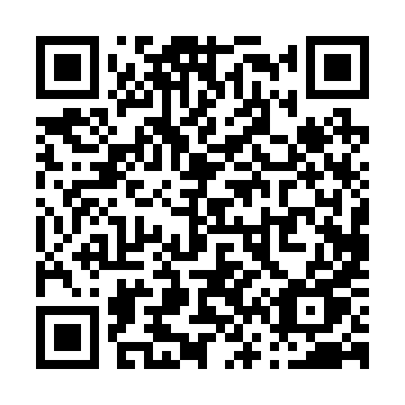 QR code for P6028U