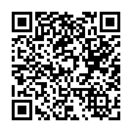 QR code for P61-98V