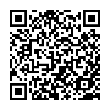 QR code for P6128H