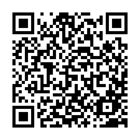 QR code for P62-30N