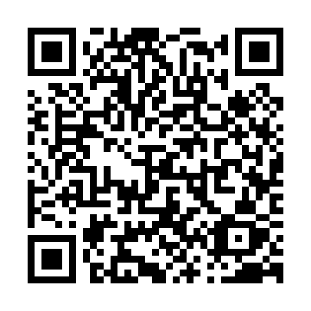 QR code for P6303Z
