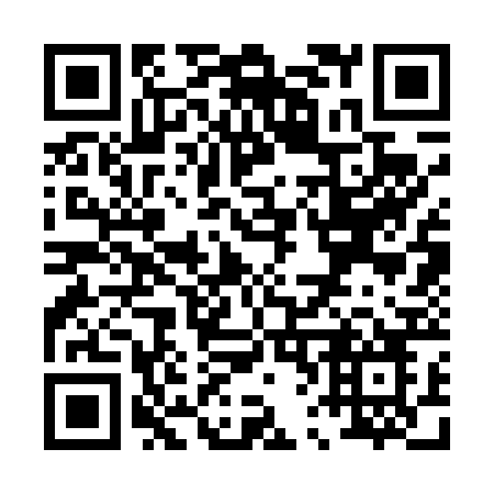 QR code for plate P63-42O