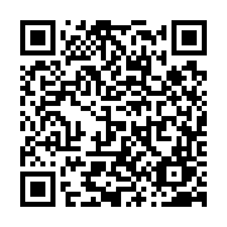 QR code for P6376T