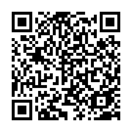 QR code for plate P65-20E