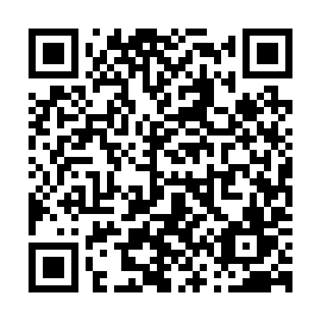 QR code for P6529V