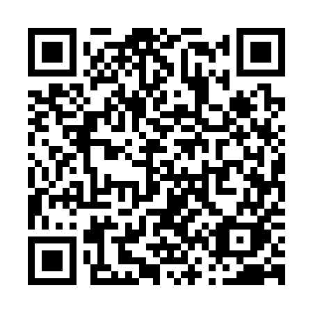 QR code for plate P65-35K