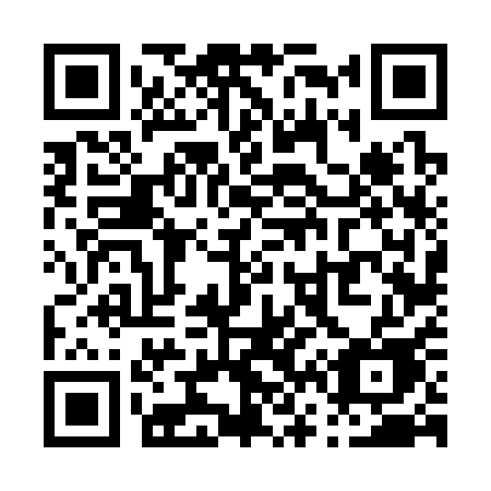 QR code for P66-31E
