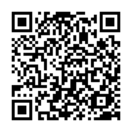 QR code for P66-32H
