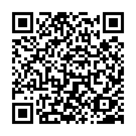 QR code for P66-51X