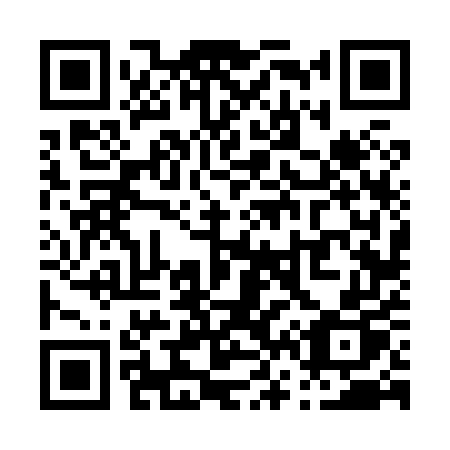 QR code for P66-85P
