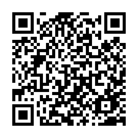 QR code for plate P66-40D
