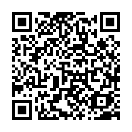QR code for P6817I