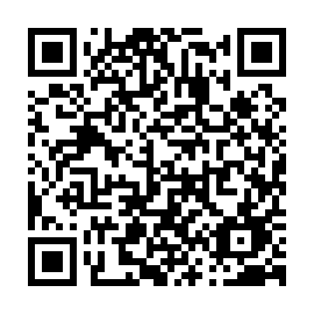 QR code for P6911D
