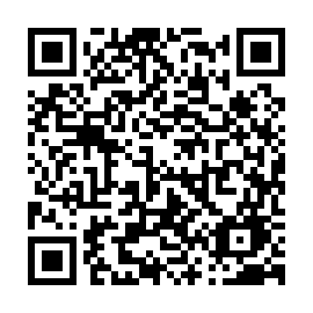 QR code for P6917G