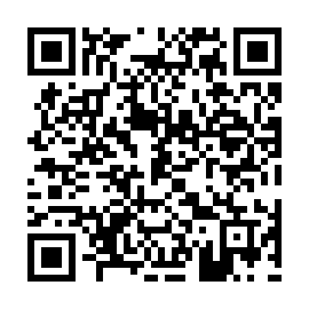 QR code for P78-29U