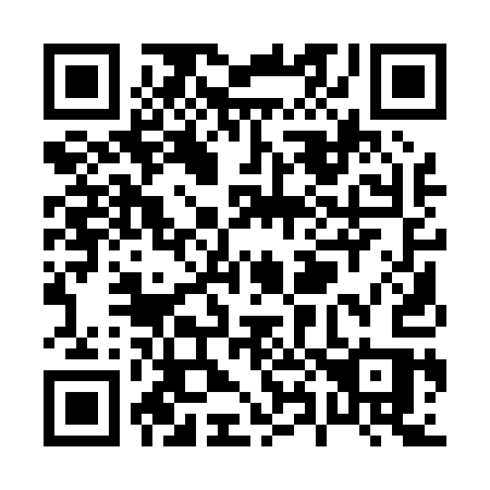 QR code for P81-01S