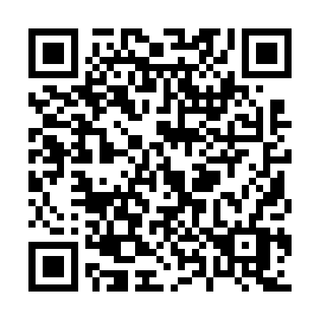 QR code for P81-60V