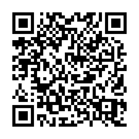 QR code for P81-81Q