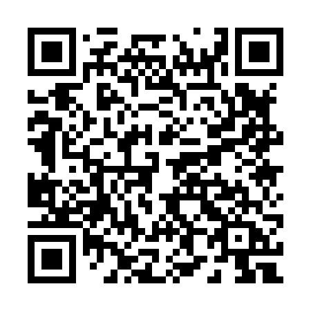 QR code for P81-86A
