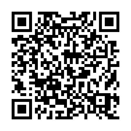 QR code for P8176S