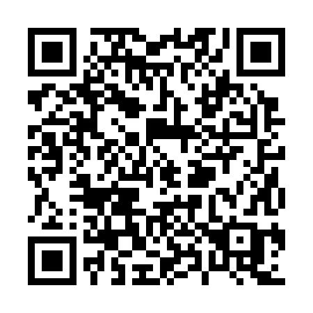 QR code for P82-38B