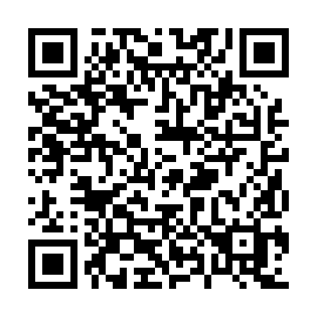 QR code for P8209H