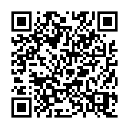 QR code for P8243P