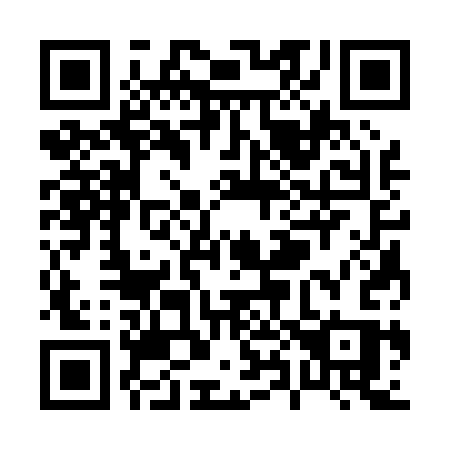 QR code for P8303S