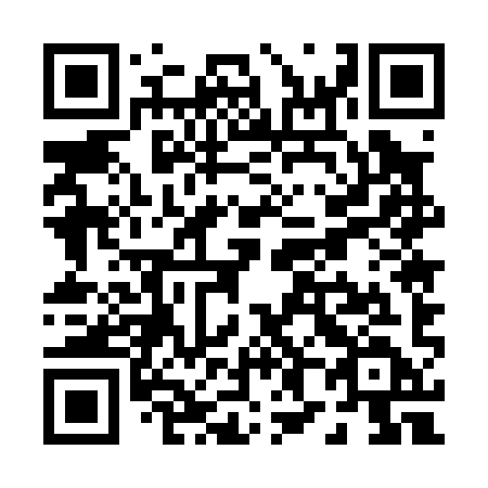 QR code for P85-09D