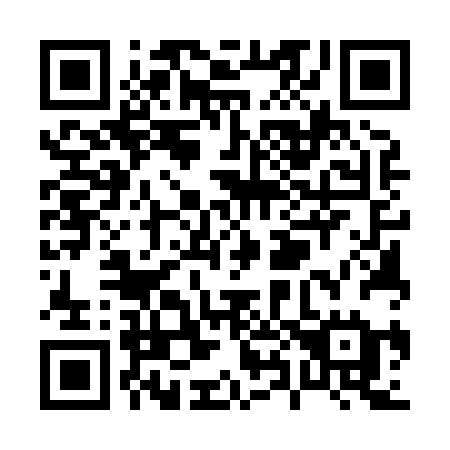 QR code for P85-82E