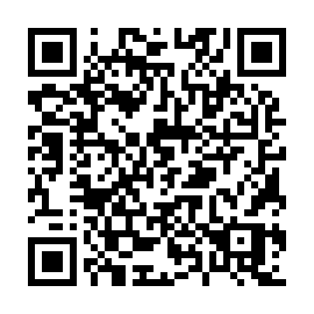 QR code for P85-96R