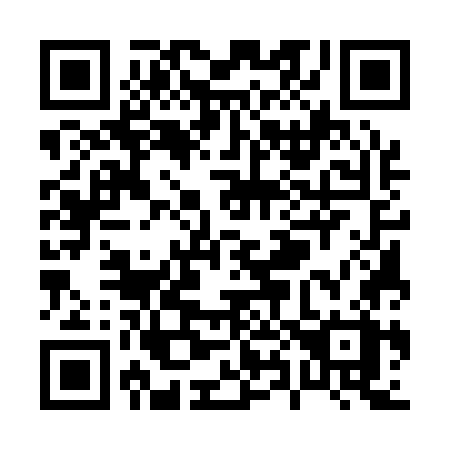 QR code for P8517X
