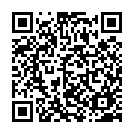 QR code for plate P85-51G