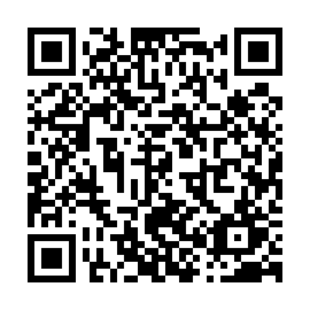 QR code for plate P85-52T