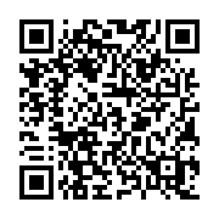 QR code for P8553H