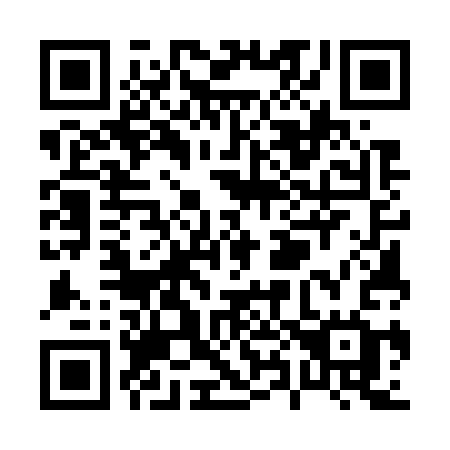 QR code for P8573G