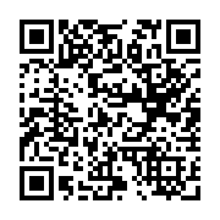 QR code for P87-17B