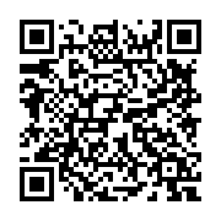 QR code for P88-82T
