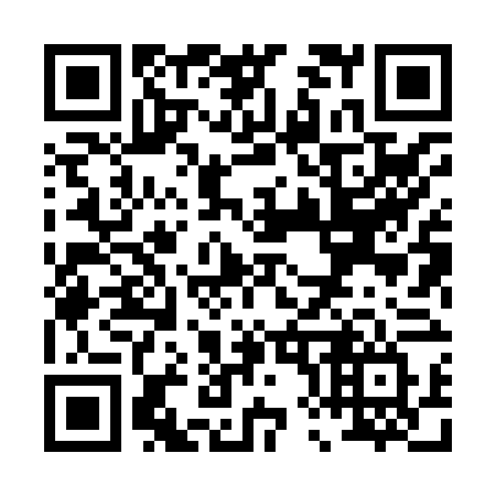 QR code for P88-86V
