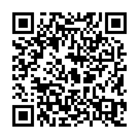 QR code for P8988A