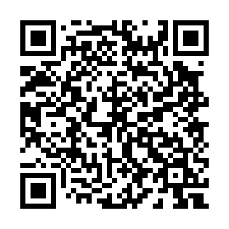 QR code for P9005N