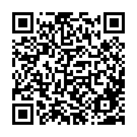 QR code for P9008F