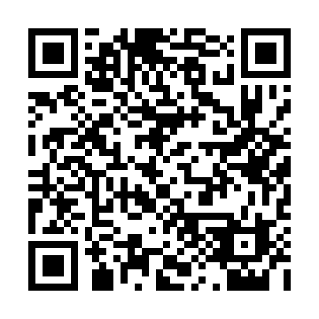 QR code for P9011B