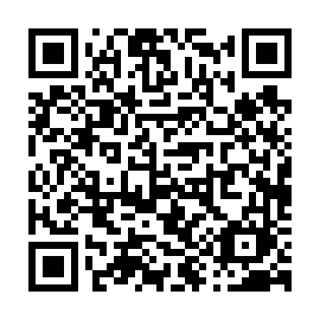 QR code for plate P90-66M