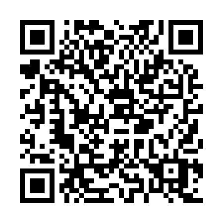 QR code for plate P90-91T