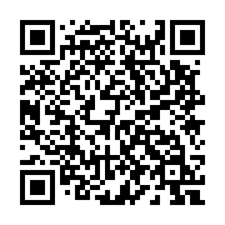QR code for P91-53N