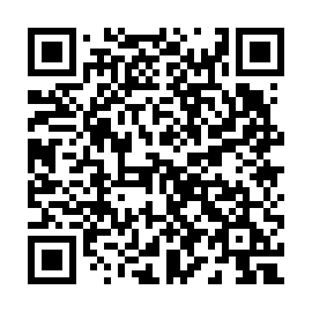 QR code for P91-65E